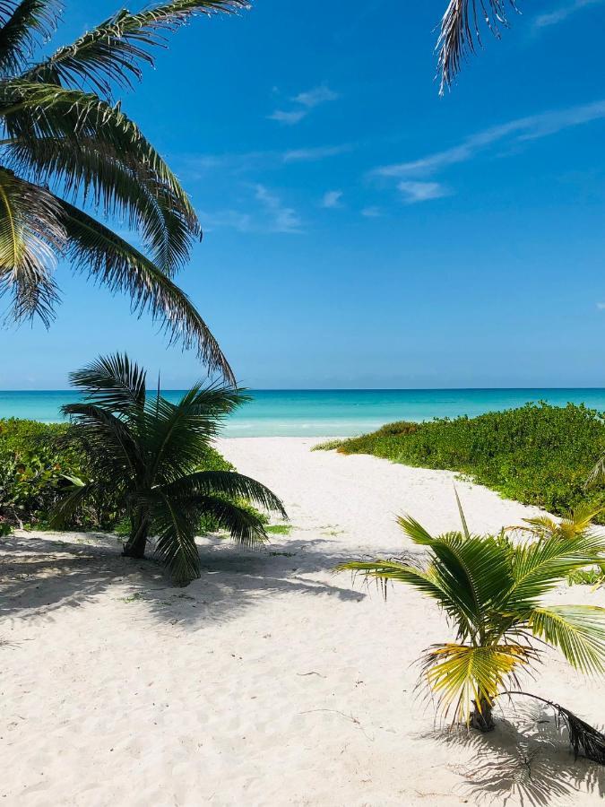 Ferienwohnung Cabana Tortuga A Unos Pasos De La Playa El Cuyo Exterior foto
